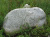 Натуральный камень валун (речной окатыш) #1