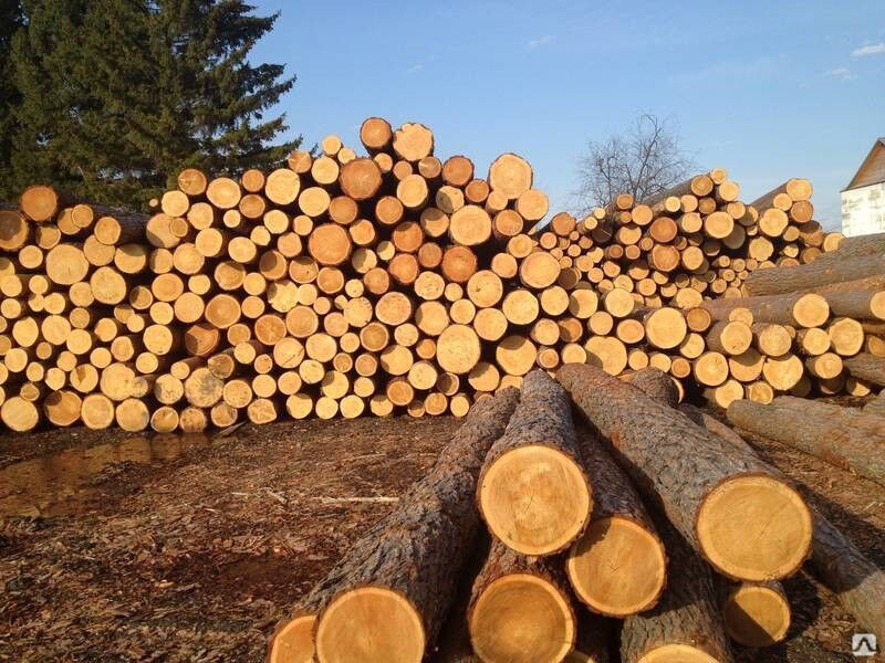 Кругляк деловая древесина, ель, D 30-50 см, евро, 6 м