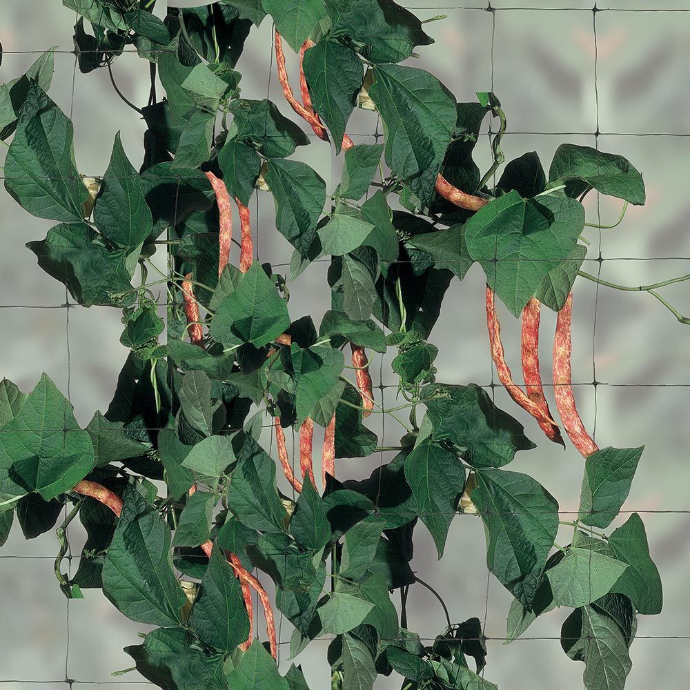 Tenax FLORA, сетка для вьющихся растений, цвет зеленый (2х10 м)
